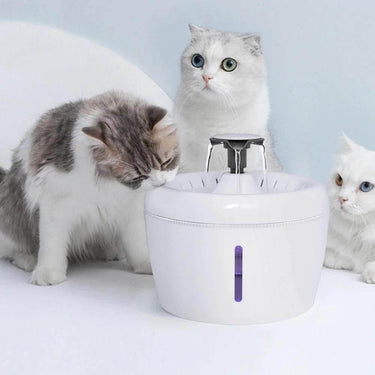 Minimalistic Drinking Fountain Pet Bowls, Feeders & Waterers KittyNook Minimalistic Drinking Fountain